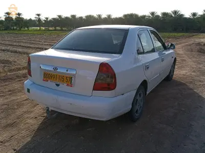 اكسنت 2015 جامعة ولاية المغير