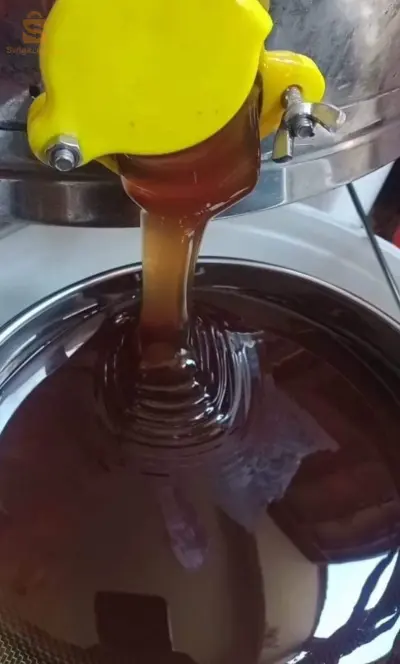 عسل السدرة البيع جملة و ديتاي