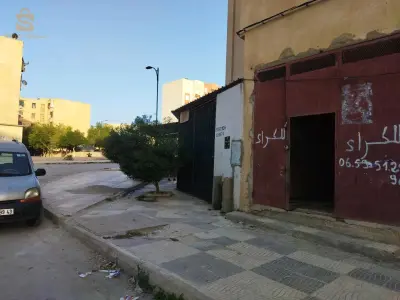 0667603538