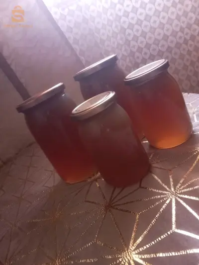 عسل سدرة