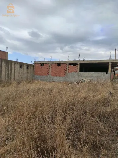 el hamiz