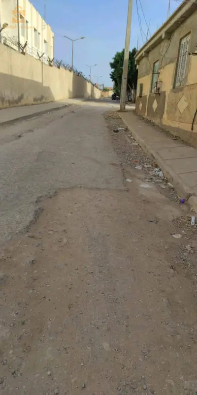 شلف أم اذروع ڨلافطيا