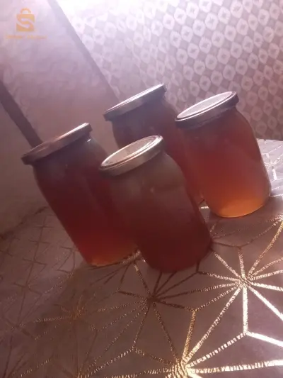 عسل سدرة