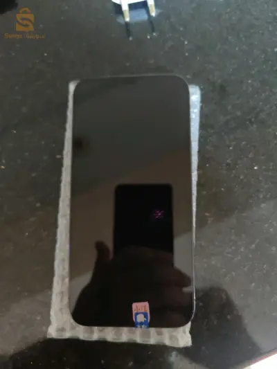 iphoy12 pro max