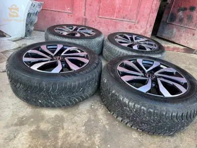 golf 5.6.7.8 Caddy cli4.5