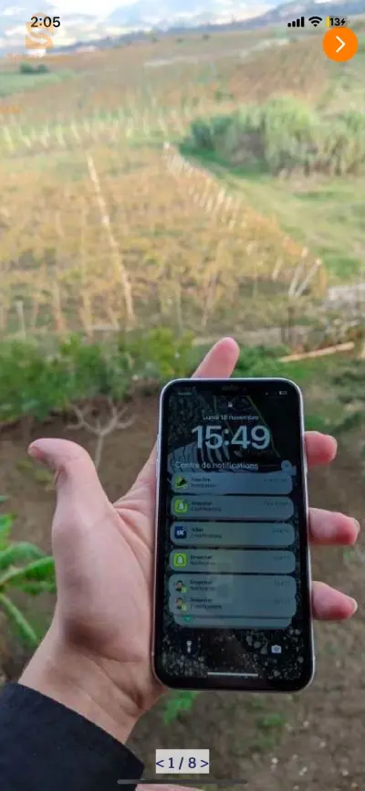 iPhone XR
