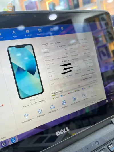 iPhone 13