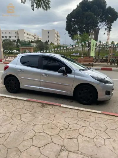 207 1.4 hdi