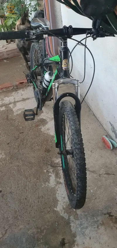 مفتاح
