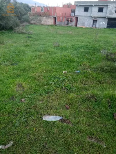 0541657089