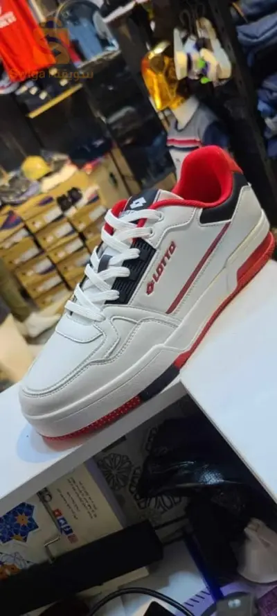basket lotto original