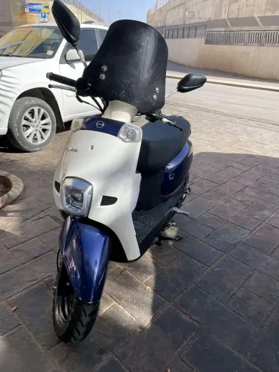 0657271564