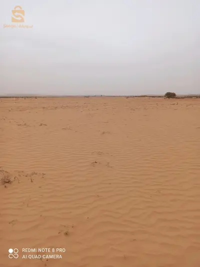 بلدية بن زوه طبيشة