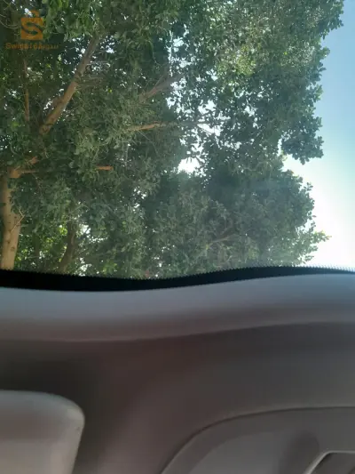 الشلف