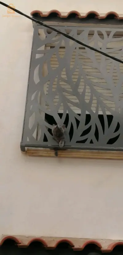حي برج الكيفان.