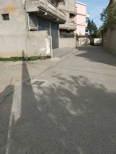 0773211768