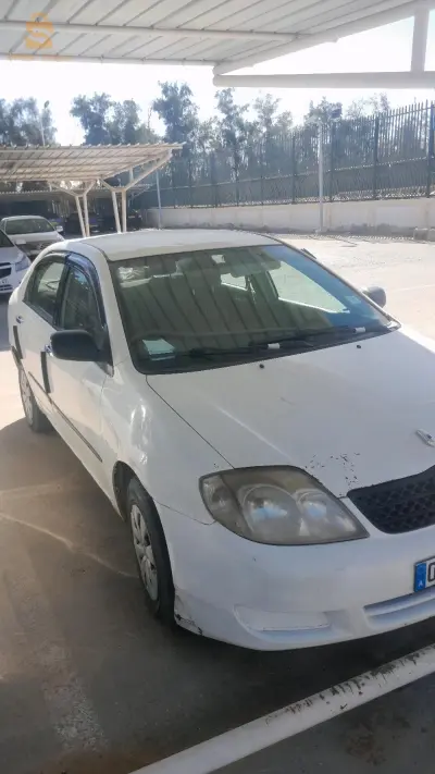 حاسي مسعود