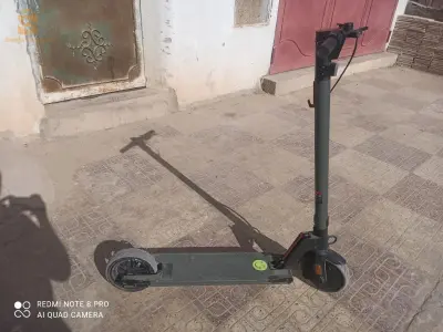 مقرة