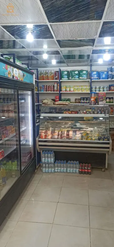 بشار