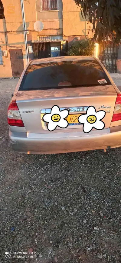 تيارت