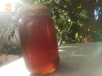 عسل السدر