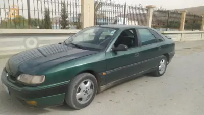 صفران مزوت