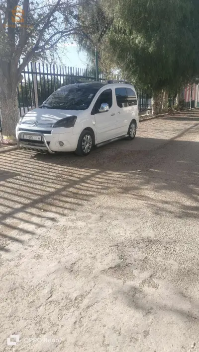 pantor 0 motor 2.0 HDi 90 ch
