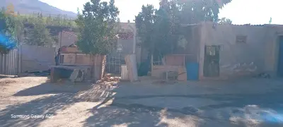 شعبة الابطال