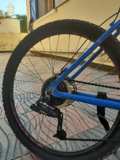 Vilu b'Twin 500