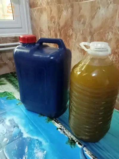 زيت زيتون جديدة