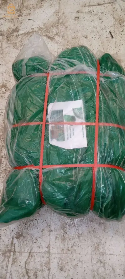 شبكة
