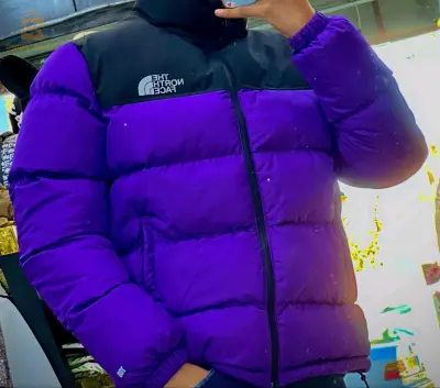veste the North face