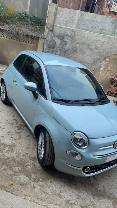 فيات 500 2024 9 البليدة