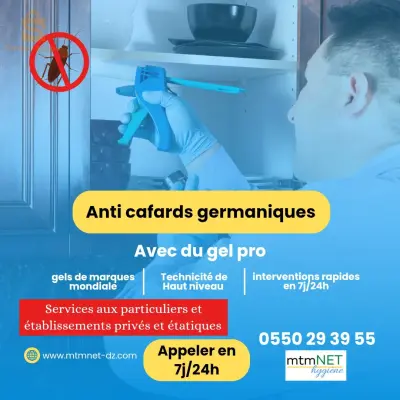 entreprise anti nuisibles oran