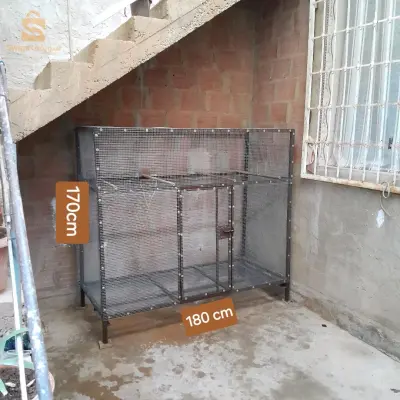 كاجة جديدة تاع مقنين كناري كالوبسيت0662729762