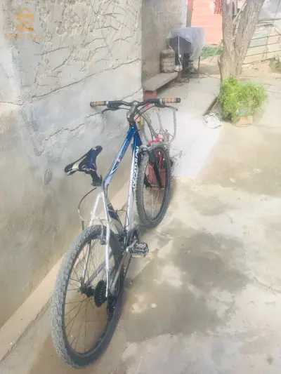 Dikatlo