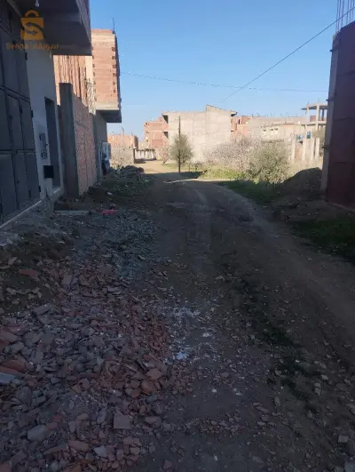 0773211768