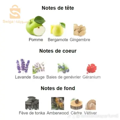 10 ml :1000da