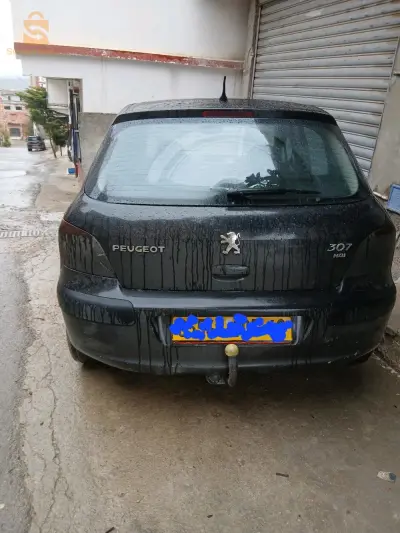 Peugeot 307 2005 43 MILA
