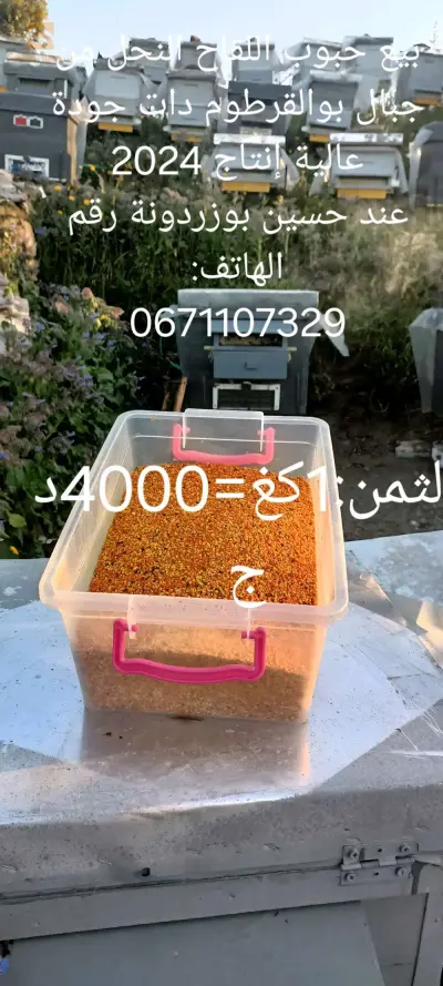 حبوب اللقاح