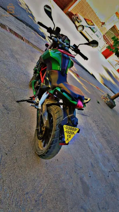 benelli 250