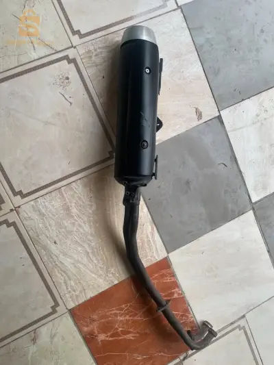 شاطمو