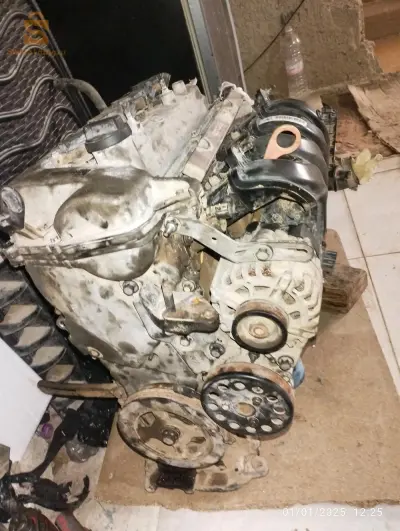 حاسي بونيف