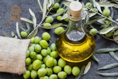 زيت زيتون خراطة بجودة عالية مرحبا بيكم