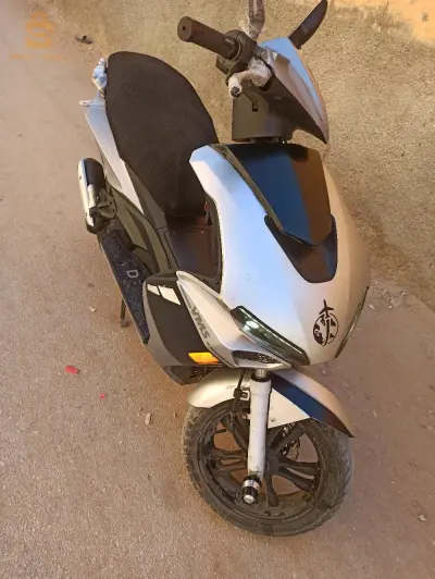 ورقلة