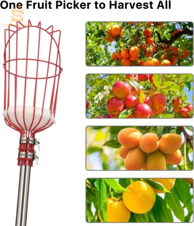 🍎 عصا قطف الفواكه - الطول 2 متر 🍐