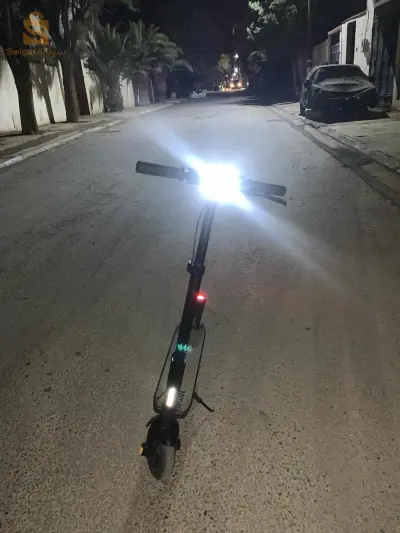 scoter