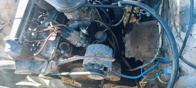 بيجو 504