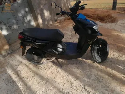 مازونة