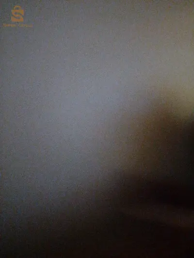 بيع